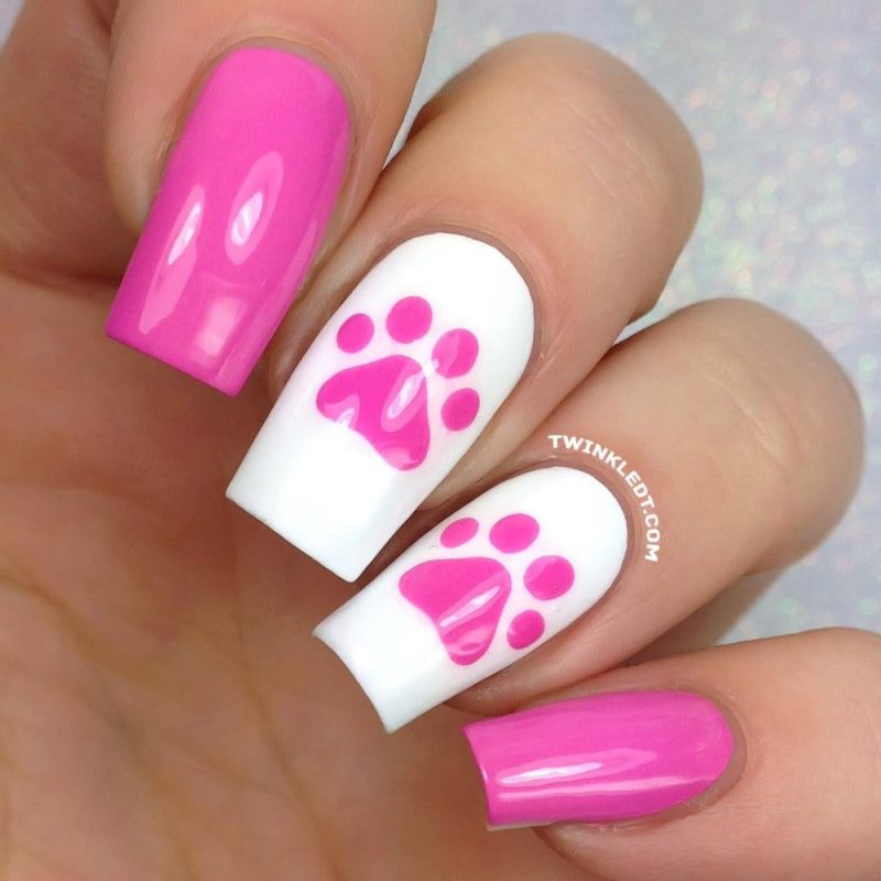 PawPrints